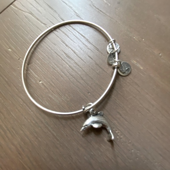 Alex and Ani silver dolphin charmed bangle - Picture 1 of 1